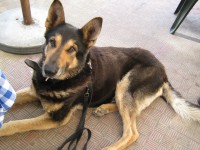 /album/associane-amici-miei/jessica-051-jpg/